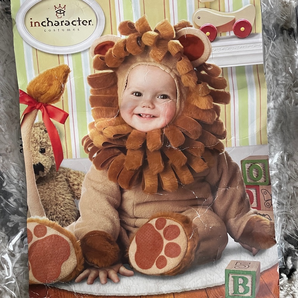 Wizard of Oz Lion costume